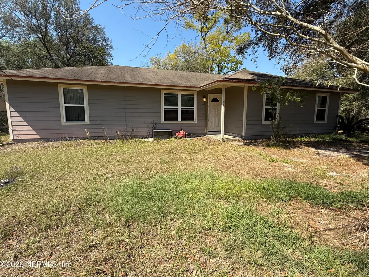 45 Mint Circle, Middleburg, FL 32068 - #1