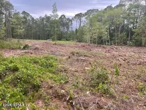 348 Georgetown Denver Road, Georgetown, FL 32139