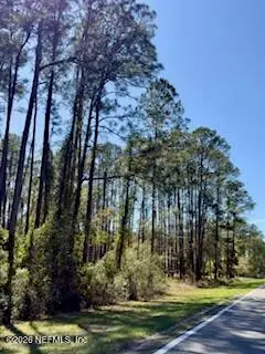 251 Georgetown Denver Road, Georgetown, FL 32139