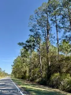 251 Georgetown Denver Road, Georgetown, FL 32139 - #2