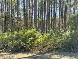 251 Georgetown Denver Road, Georgetown, FL 32139 - #3