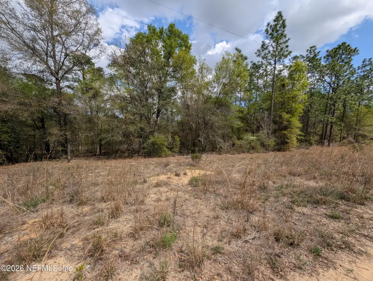 0190 Trout Lake Circle, Interlachen, FL 32148 - #1