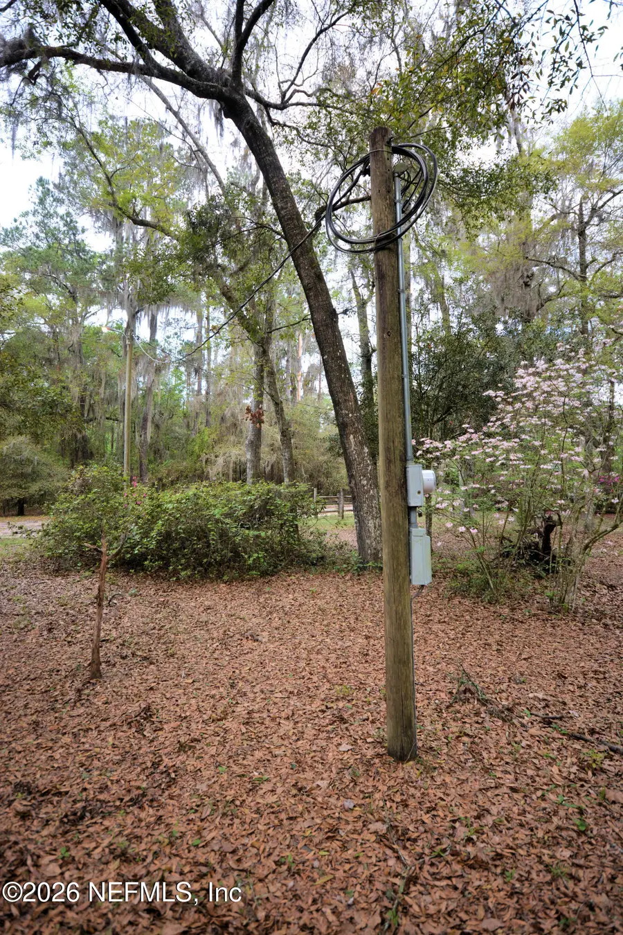 707 Hillsborough Avenue, Florahome, FL 32140 - #3