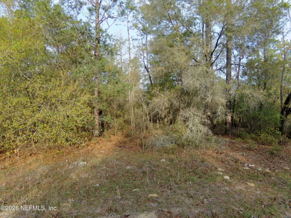 111 Brass Street, Interlachen, FL 32148 - #1