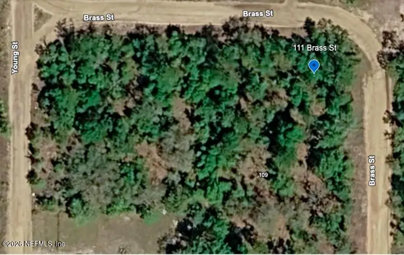 111 Brass Street, Interlachen, FL 32148 - #2