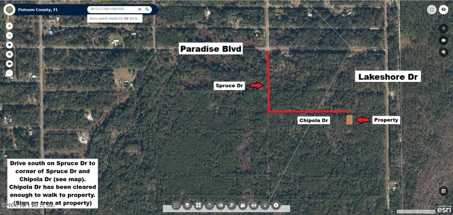 329 Chipola Drive, Georgetown, FL 32139 - #2