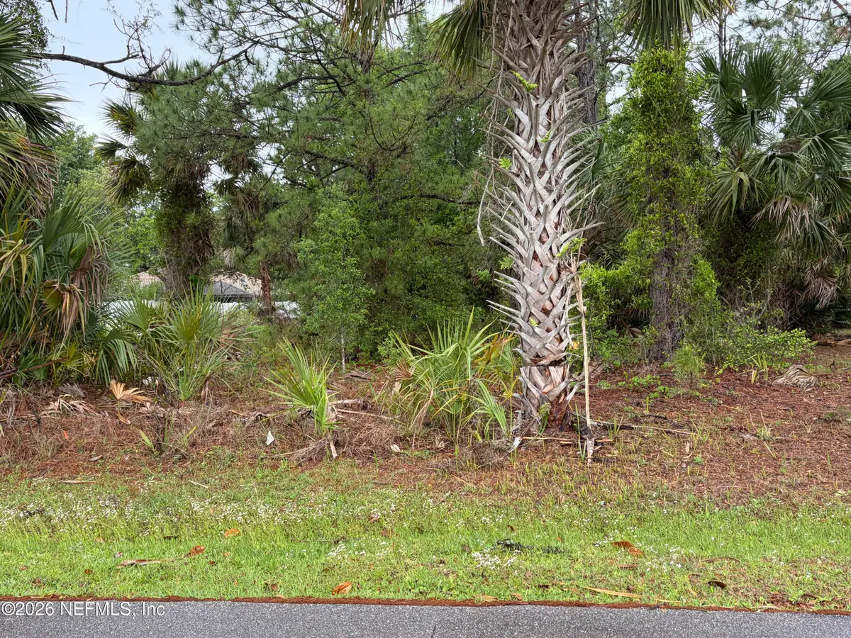 31 Whittingham Lane, Palm Coast, FL 32164 - #1