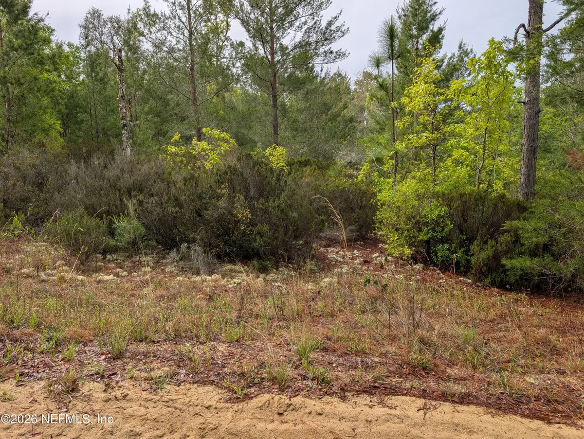 LOT 34 SE 10th Street, Interlachen, FL 32148 - #1
