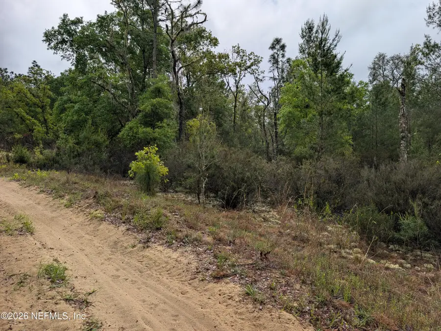 LOT 34 SE 10th Street, Interlachen, FL 32148 - #3