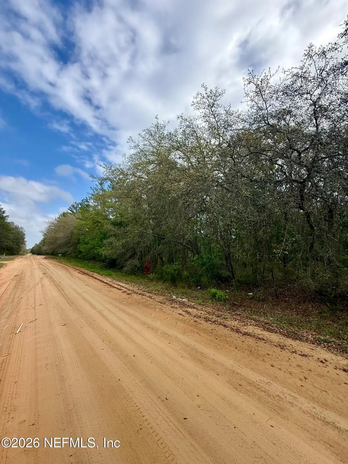 XXX Neilsen Avenue, Interlachen, FL 32148 - #1