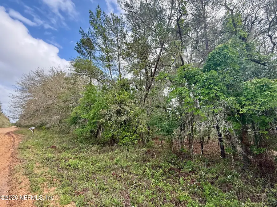 XXX Neilsen Avenue, Interlachen, FL 32148 - #2