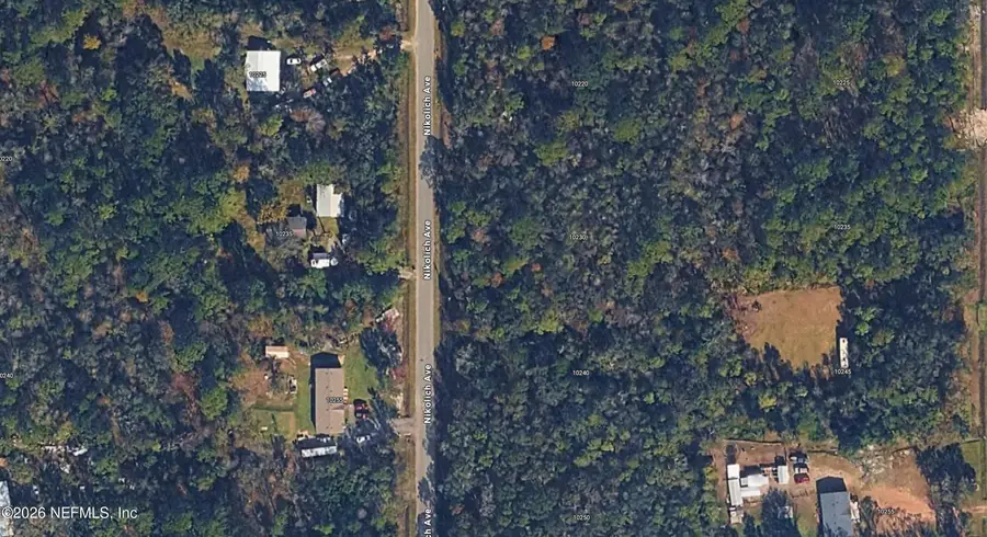 10230 Nikolich Avenue, Hastings, FL 32145 - #3