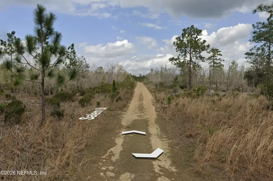 001 Salem Trail, Interlachen, FL 32148 - #2