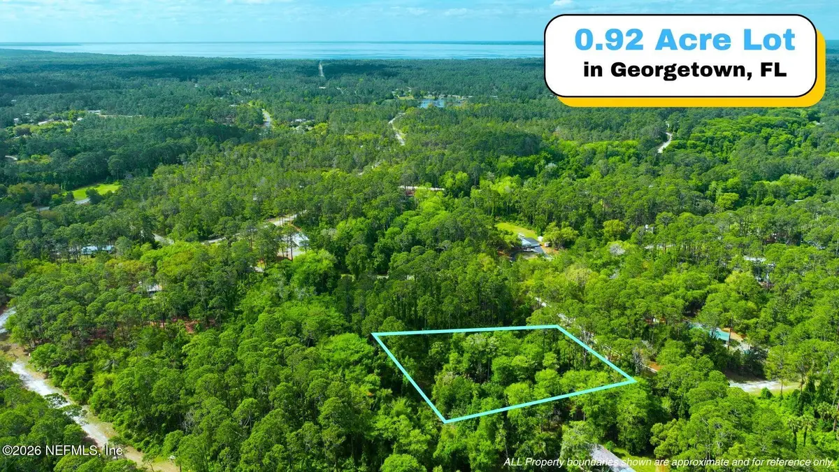 102 Hyacinth Court, Georgetown, FL 32139 - #1