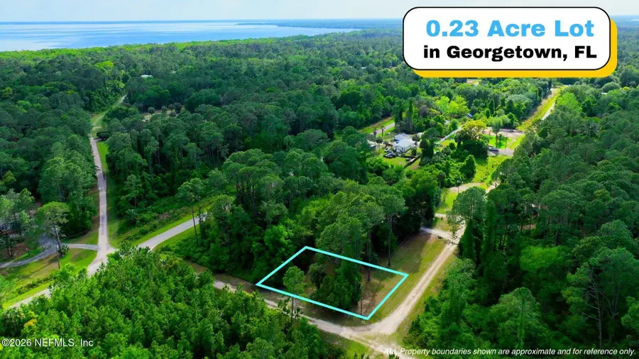 TBD Corner Lot 1 Birch Boulevard, Georgetown, FL 32139 - #2