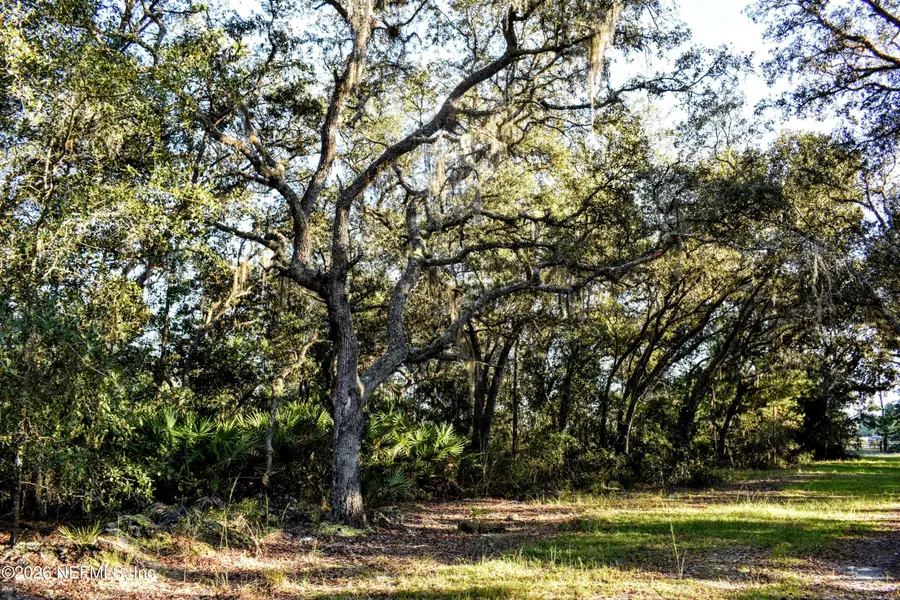 224 Rodeo Drive, Interlachen, FL 32148 - #3