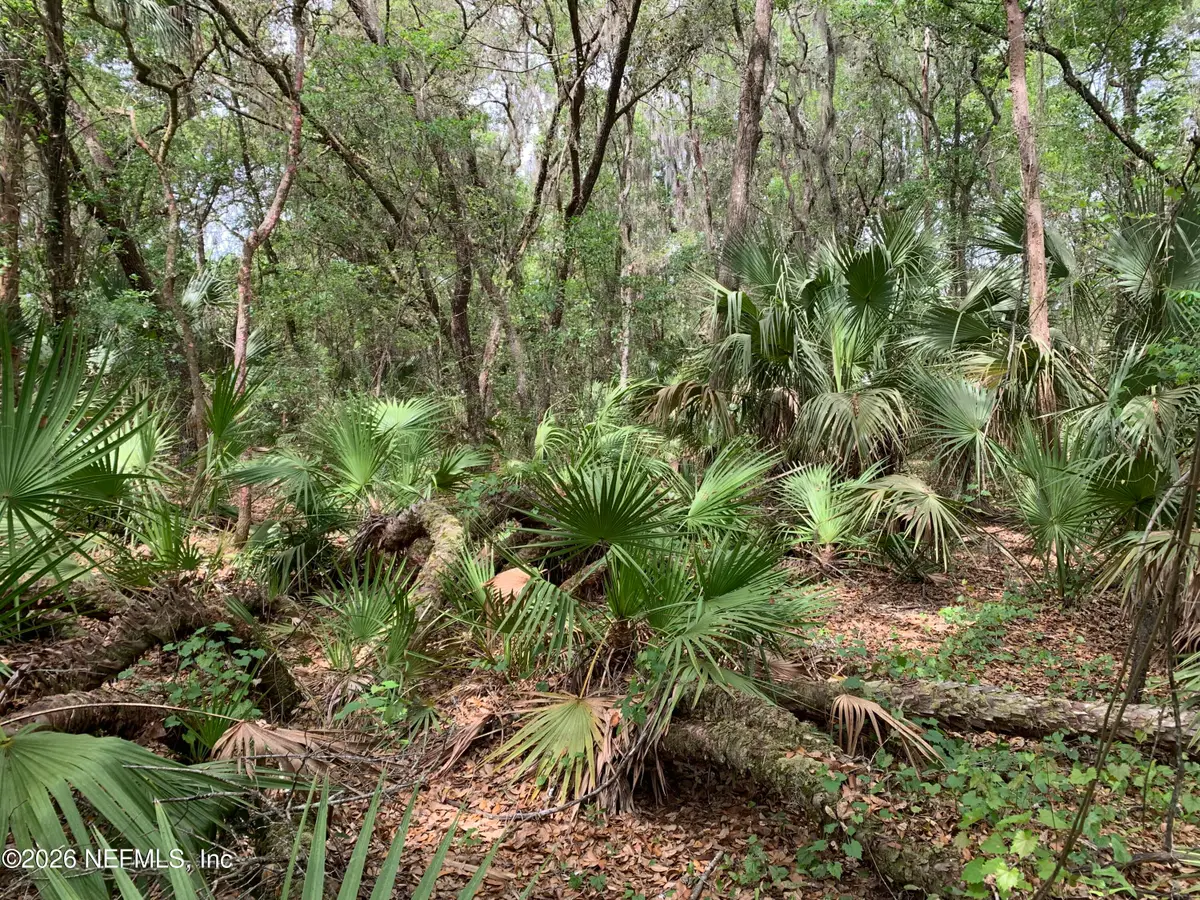 00 Old Woods Road, Interlachen, FL 32148 - #1