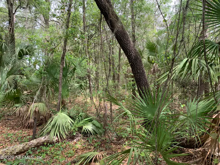 00 Old Woods Road, Interlachen, FL 32148 - #2