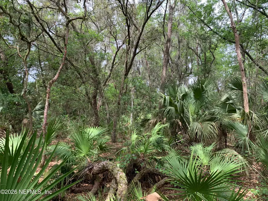 00 Old Woods Road, Interlachen, FL 32148 - #3