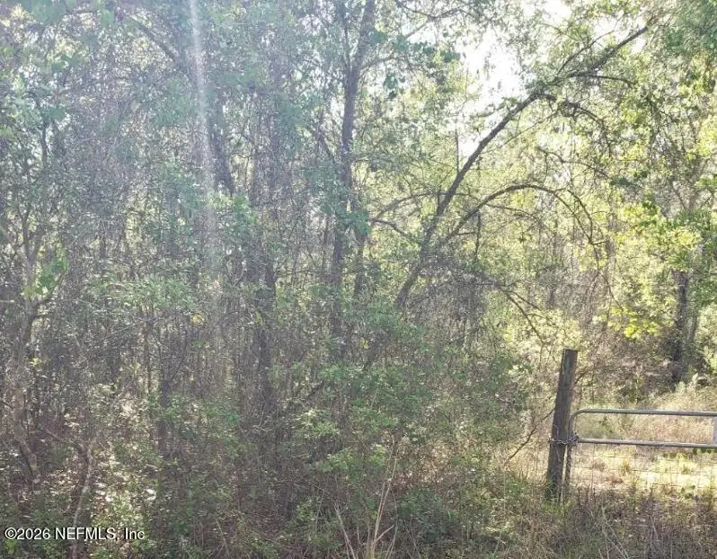 6372 County Road 315c, Keystone Heights, FL 32656 - #3