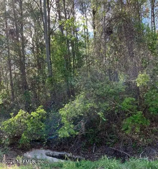 6378 County Road 315c, Keystone Heights, FL 32656 - #3