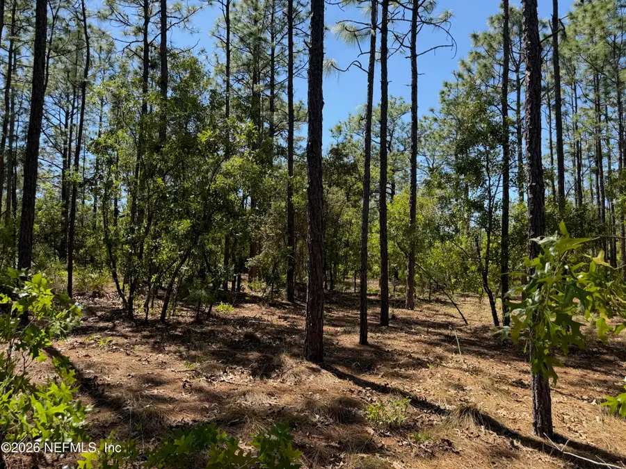 4247 N Amarillo Drive, Beverly Hills, FL 34465 - #3