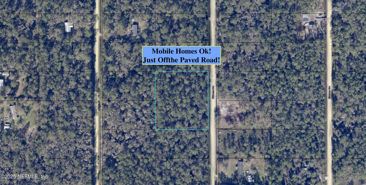 10655 Flikkema Avenue, Hastings, FL 32145 - #1
