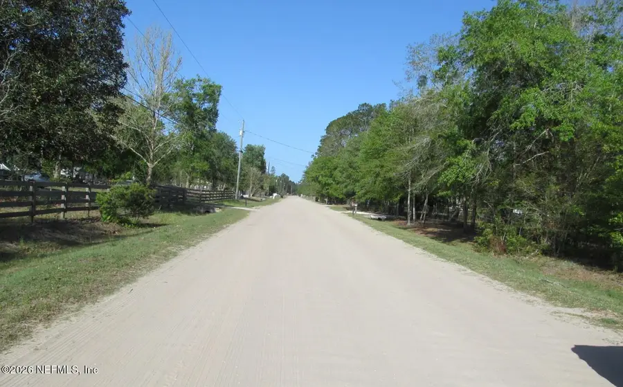 132 Mandrake Street, Middleburg, FL 32068 - #3