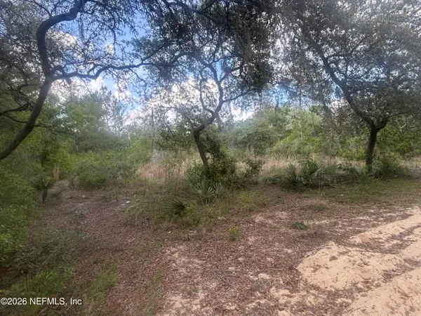 0 NE 233rd Place, Fort McCoy, FL 32134