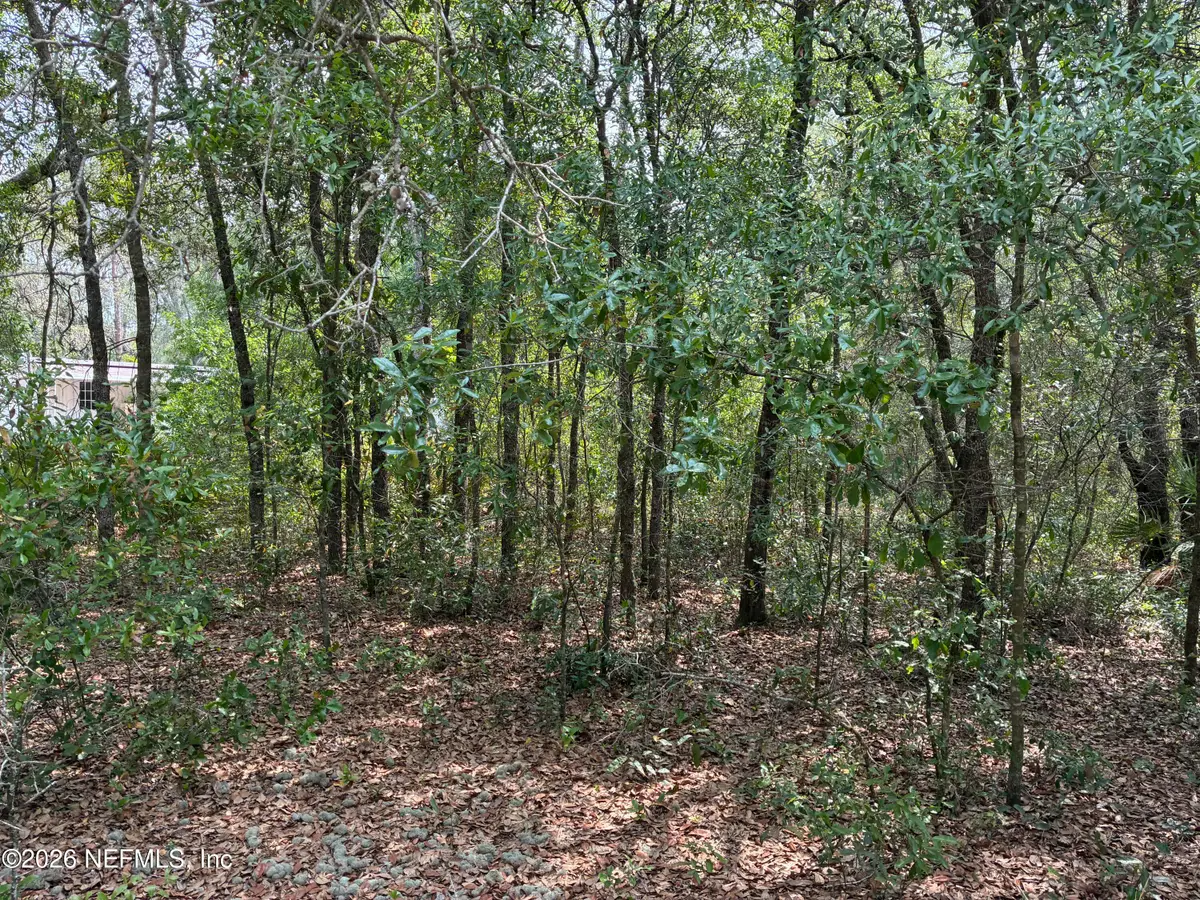 176 Maple Lane, Interlachen, FL 32148 - #1