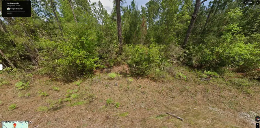 130 Roebuck Street, Georgetown, FL 32139 - #2