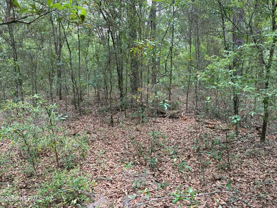 XXX Kennedy Avenue, Interlachen, FL 32148 - #2