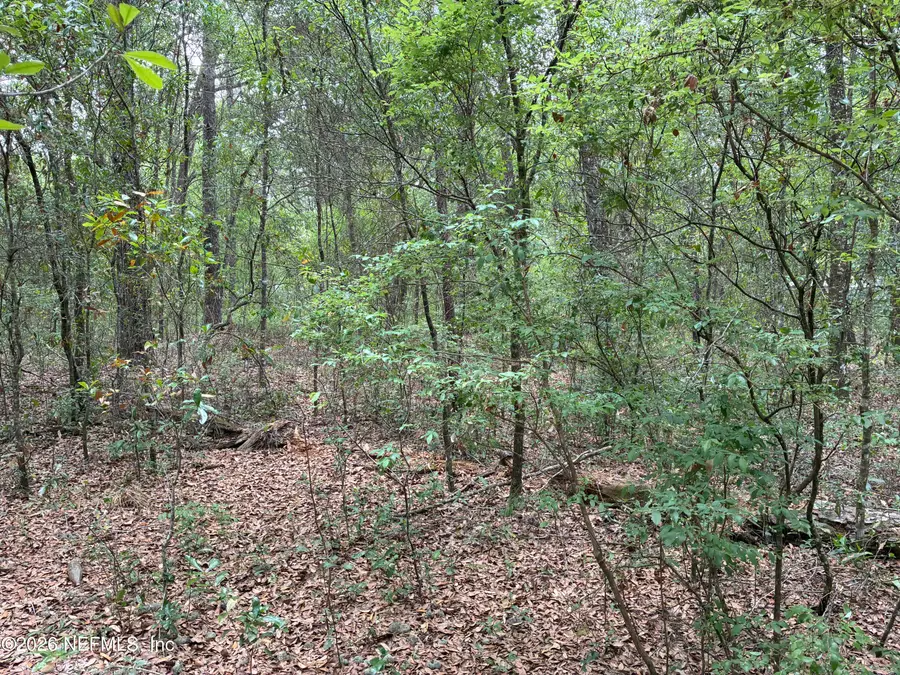 XXX Kennedy Avenue, Interlachen, FL 32148 - #3