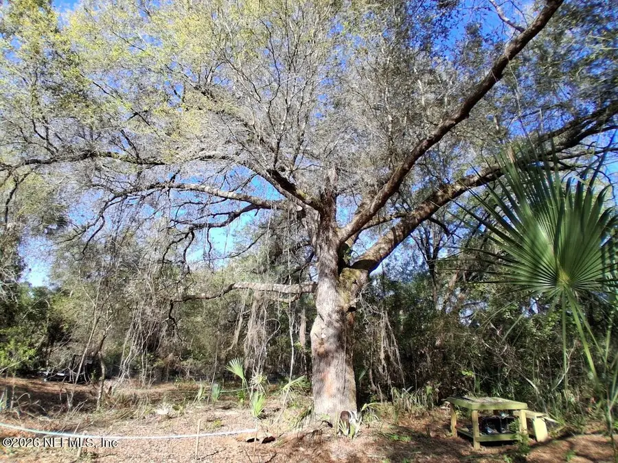 910 Paradise Boulevard, Georgetown, FL 32139 - #2