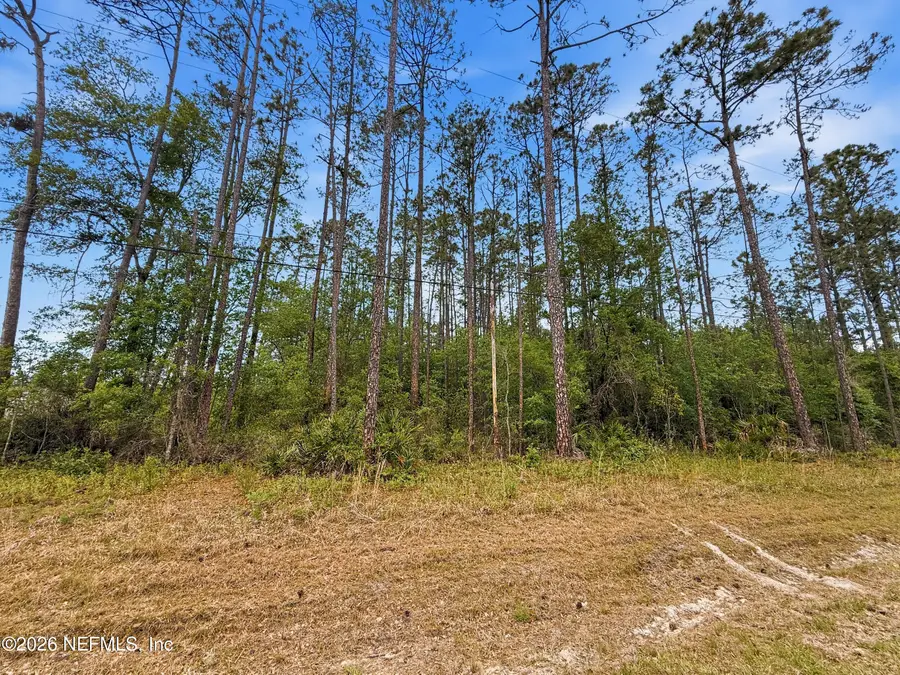 2168 Hibiscus Avenue, Middleburg, FL 32068 - #3