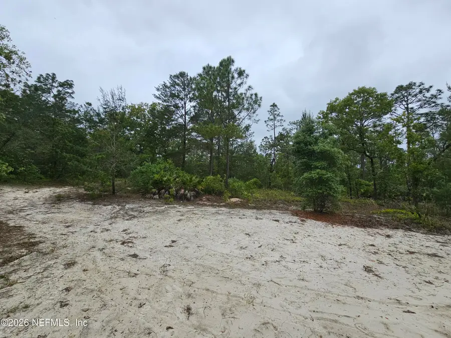 248 Saddleback Trail, Palatka, FL 32177 - #3