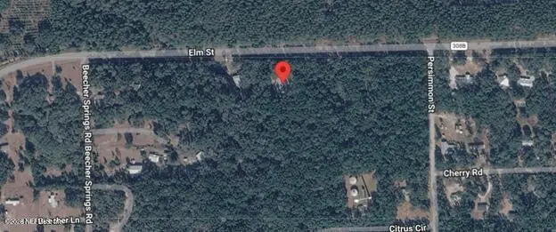 869 County Road 308b, Pomona Park, FL 32181 - #1