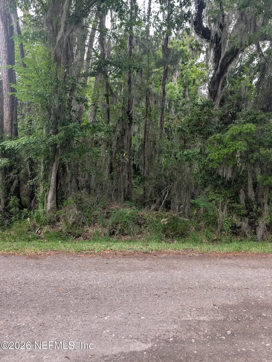 5235 Chicory Circle, Middleburg, FL 32068 - #3