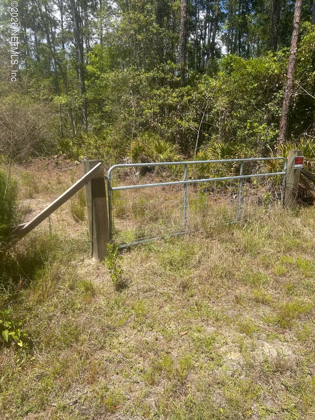 240 Lakeway Drive, Georgetown, FL 32139 - #1