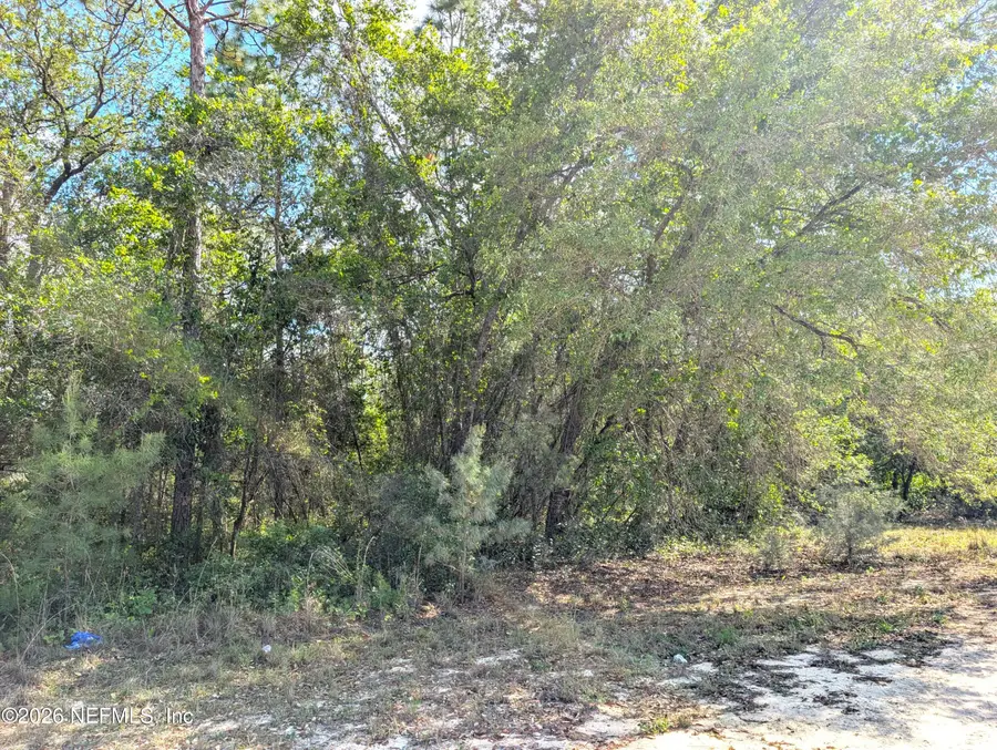 5537 Lassen Street, Keystone Heights, FL 32656 - #2