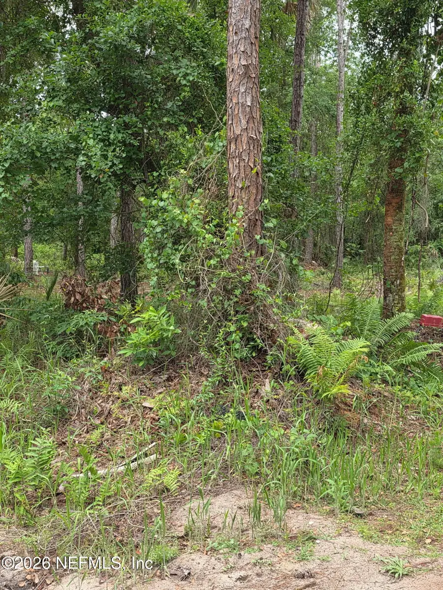 109 Anne Boulevard, Georgetown, FL 32139 - #3