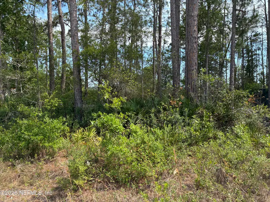 000 Susan Street, Interlachen, FL 32148 - #2