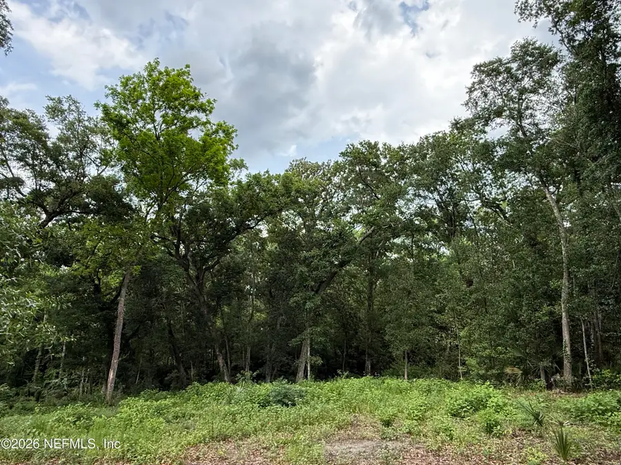 1891 Holly Oaks Ravine Drive, Jacksonville, FL 32225 - #2