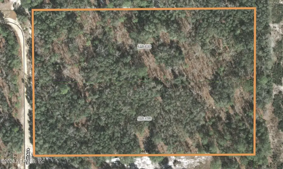 110 Witt Avenue, Interlachen Florahome, FL 32147 - #2