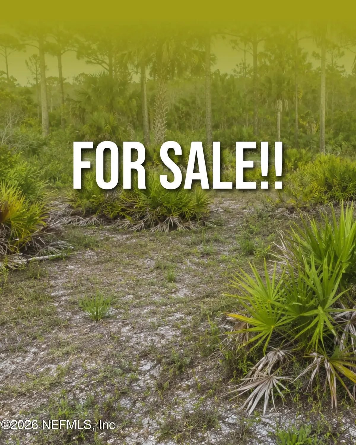 3199 Lich Street, Punta Gorda, FL 33980 - #1