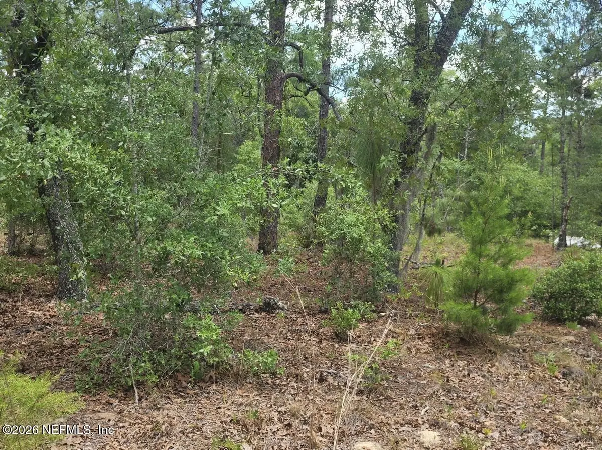 6399 Amherst Avenue, Keystone Heights, FL 32656 - #1