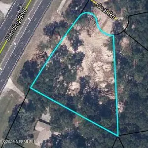 2622 Goat Road, Middleburg, FL 32068 - #1