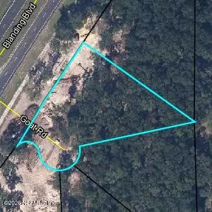 2621 Goat Road, Middleburg, FL 32068