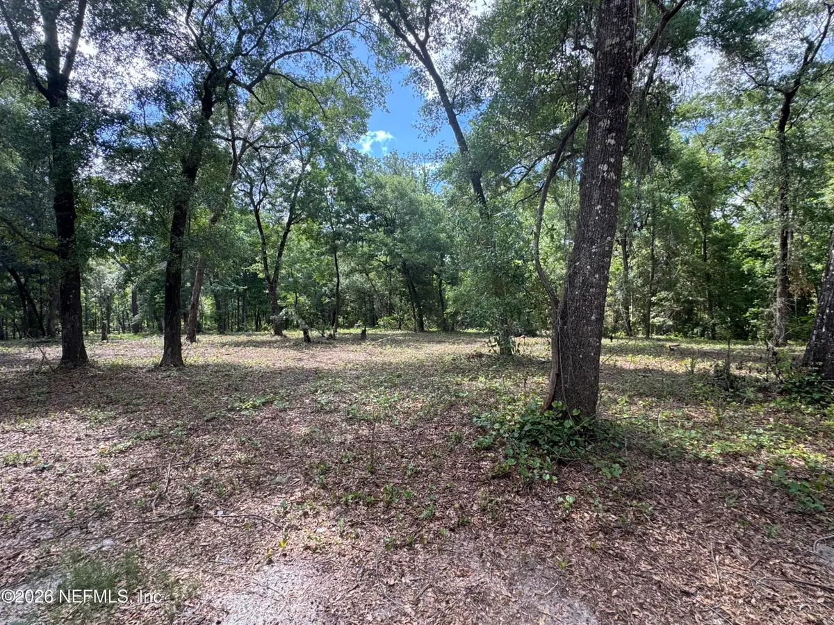 241 Indian Lakes Forest Road, Florahome, FL 32140 - #1