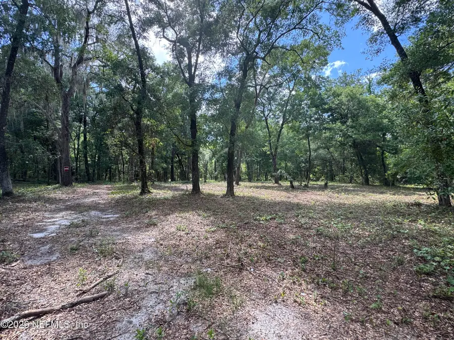 241 Indian Lakes Forest Road, Florahome, FL 32140 - #2
